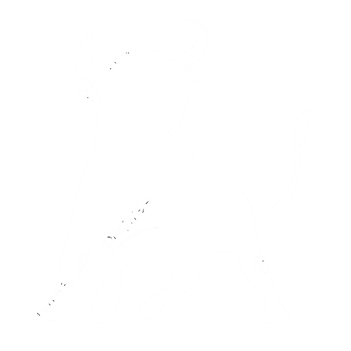 Boğa